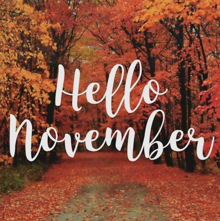 the words hello november written in white on an autumn background