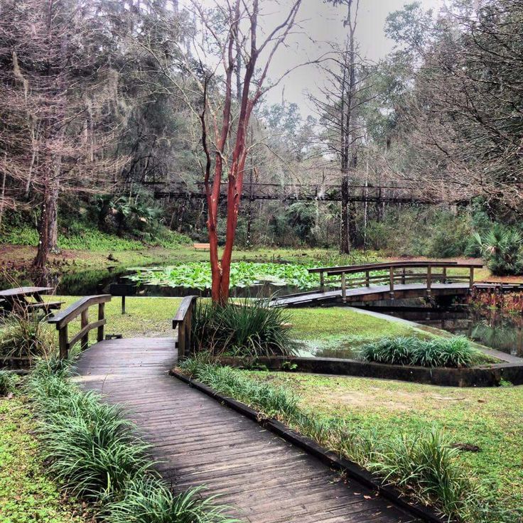 a wooden bridge over a small pond in a park