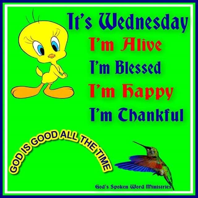 Happy Wednesday | Anything Tweety | Tweety bird quotes, Christian ...