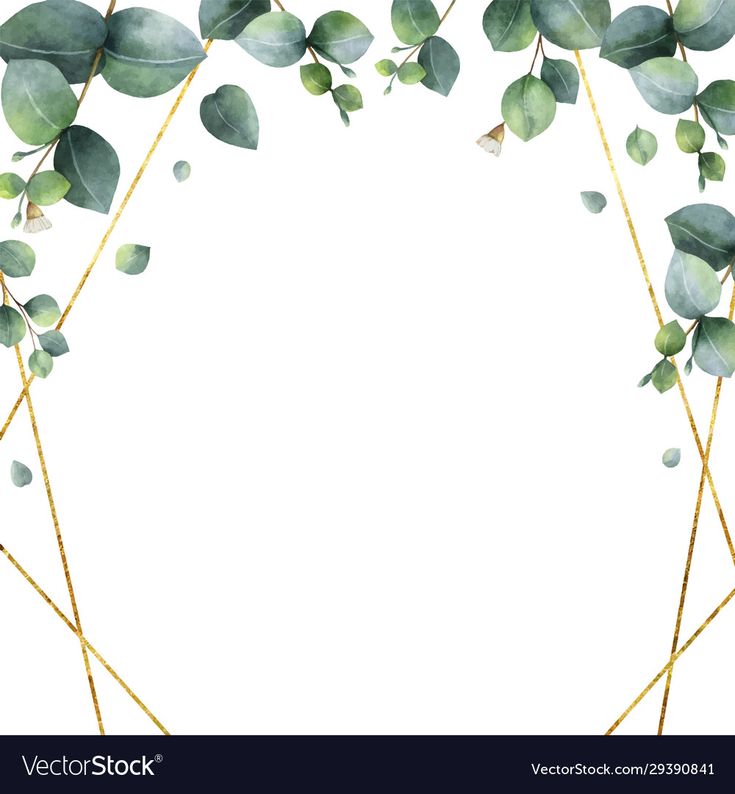 watercolor eucalyptus leaves on white background with place for your text or image in the center