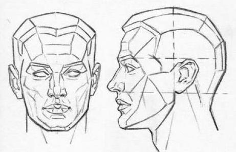 Planes of head. Front and side view. | Planes of the face, Maya art ...