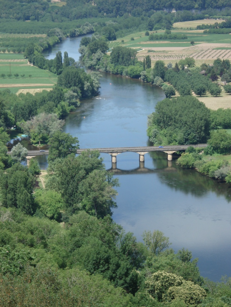 an aerial view of a river and bridge in the distance, with trees around it