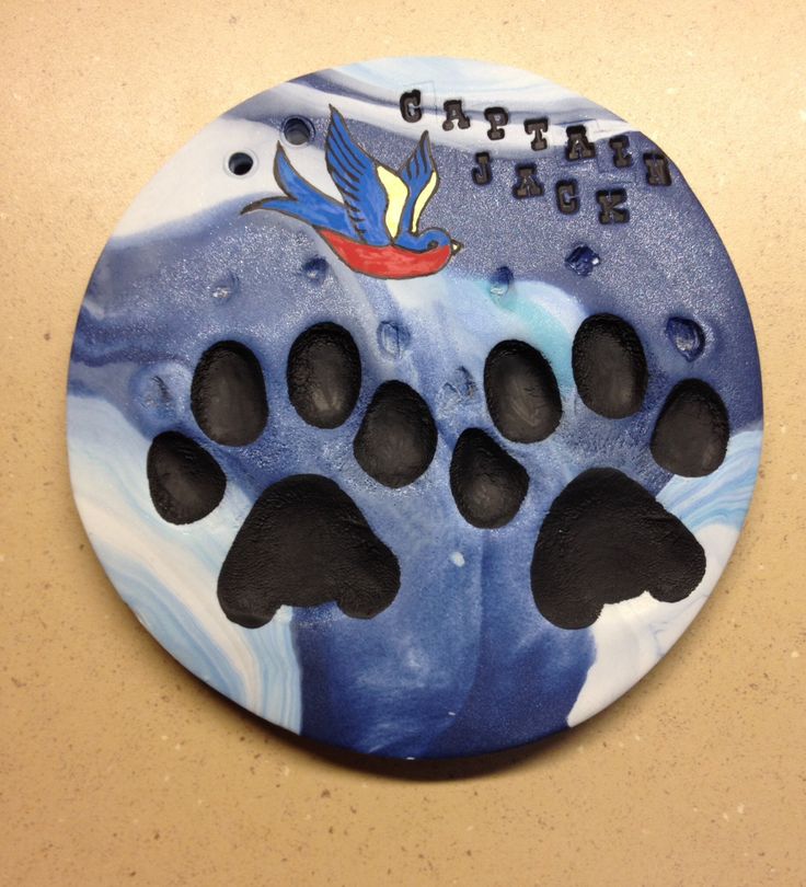 a blue and white painted disc with black paw prints