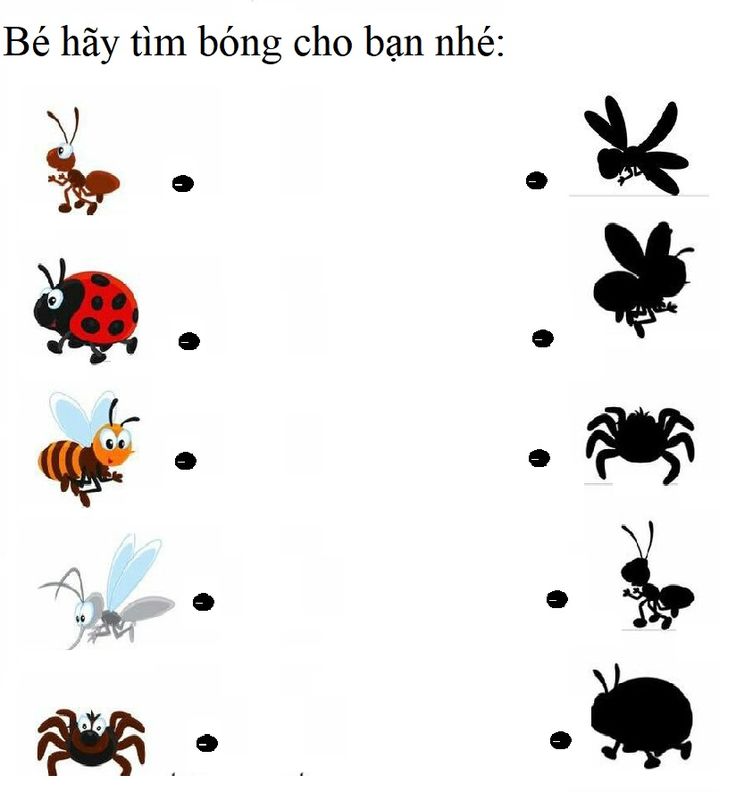 an insect and antelope matching game for children