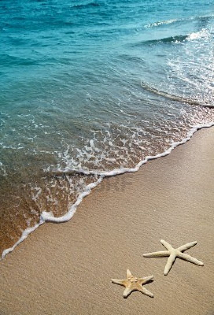 two starfishs are on the beach near the water