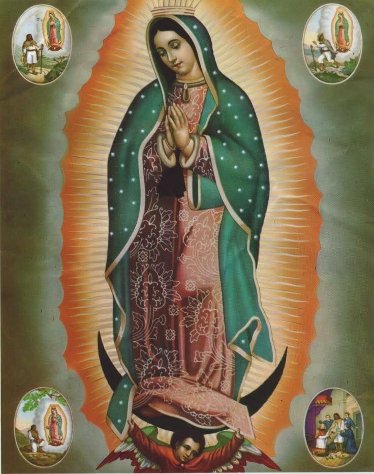 the icon of our lady of guadalupe