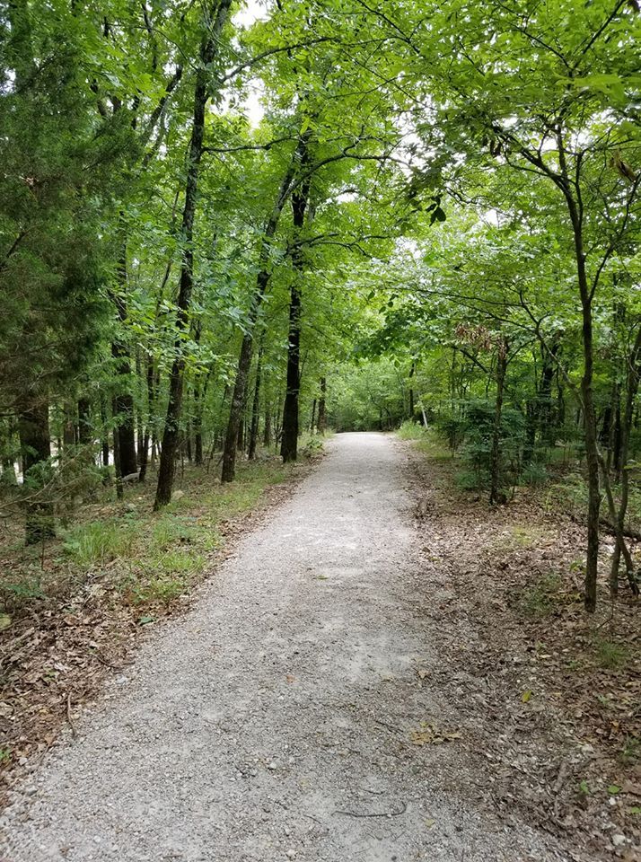 a dirt road surrounded by trees and leaves