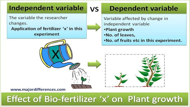 the effect of bio - fertilizer on plant growth