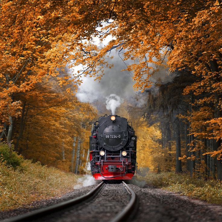 Autumn Journey - A steam train in the Harz mountains (Germany). Feel free to follow me on <a href="https://www.facebook.com/pages/Alexander-Riek-Photography/588013561261816">FACEBOOK</a> or to visit my <a href="http://www.photographichorizons.com">WEBSITE</a> Steam Trains Photography, Steam Engine Trains, Scenic Railroads, Train Art, Train Photography, Old Trains, Old Train, Train Pictures, Scenic Routes