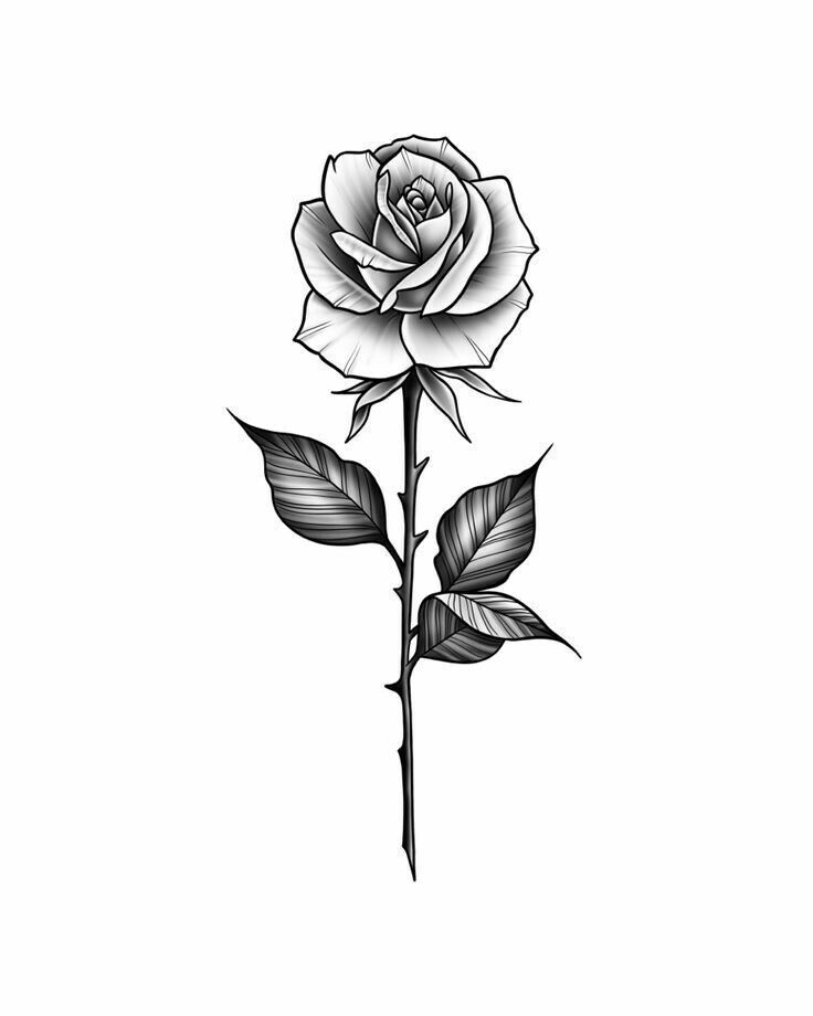 Tattoo Design Black And Grey, Rose Tattoo Hand, Black And Grey Rose Tattoo, Rose Neck Tattoo, Geometric Rose Tattoo, Rose Tattoo Stencil, Realistic Rose Tattoo, Rose Tattoos For Men, Rose Tattoos For Women