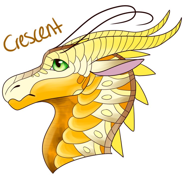 a drawing of a dragon head with the word cassen on it's forehead