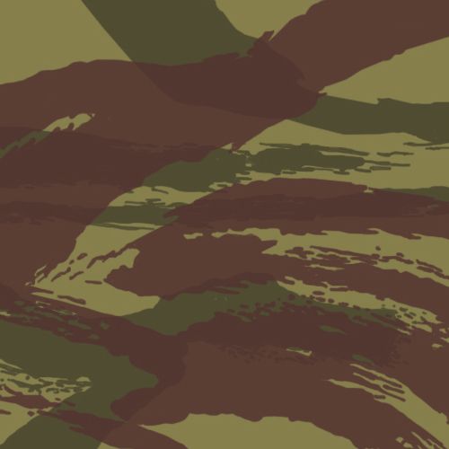 French lizard pattern camo - Lizard (camouflage) - Wikipedia Camouflage Aesthetic, Denison Smock, Camo Wall, Lizard Types, Lizard Pattern, African Jungle, Camo Wallpaper, French Pattern, The Lizard