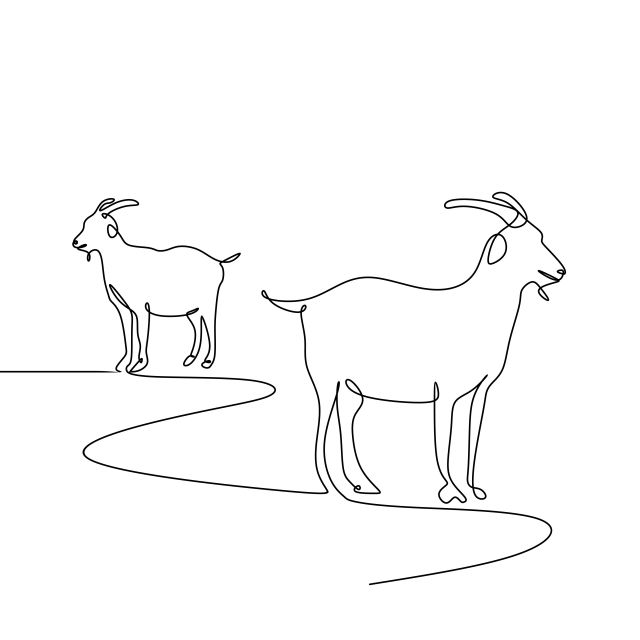 one line drawing of two goats standing in the desert, facing each other and looking at something