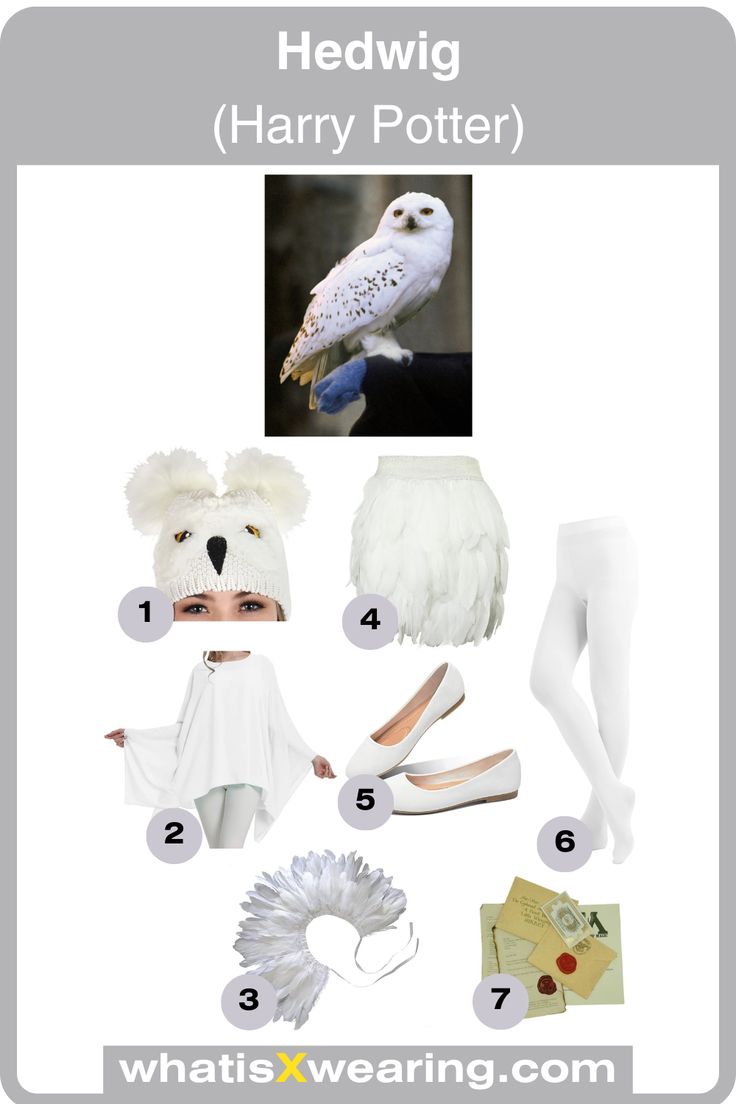 Hedwig Harry Potter Costume Guide | Harry potter costume, Harry potter ...