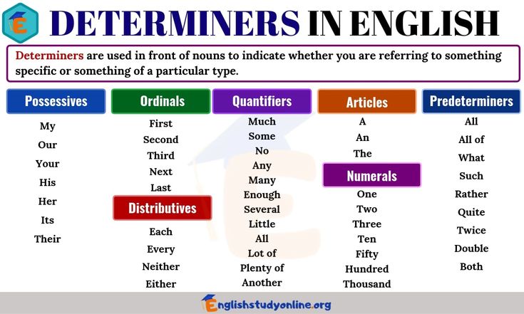 Determiners in English You Should Know - English Study Online ...