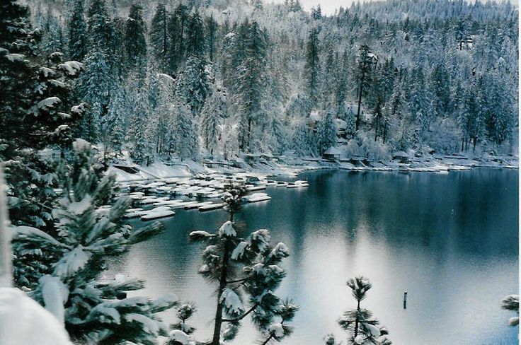 a lake surrounded by trees covered in snow