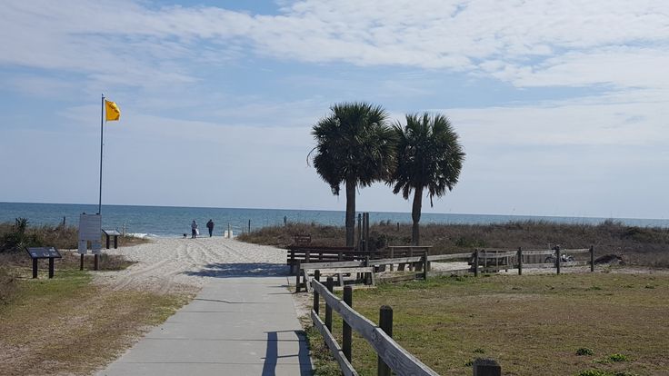 a path leading to the beach with palm trees