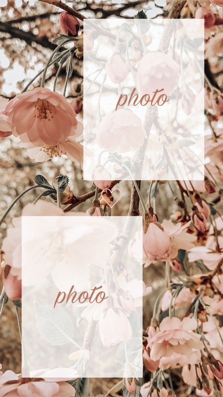 Template Insta Story Flowers | Ideias para quadros de avisos ...