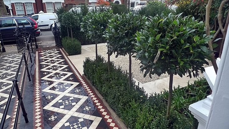 an outdoor garden with trees and plants on the ground in front of some parked cars