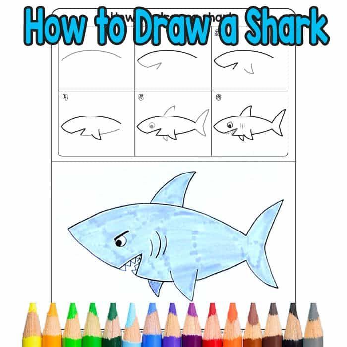 how to draw a shark with colored pencils in front of it and an image of sharks