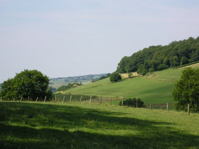 a grassy field with trees and hills in the background