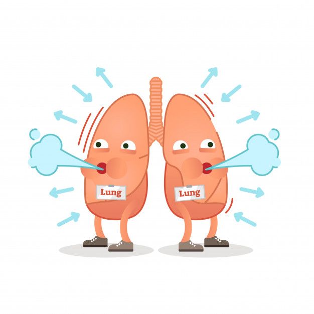 two cartoon lungs with lunges in front of them, one is holding a bone ...