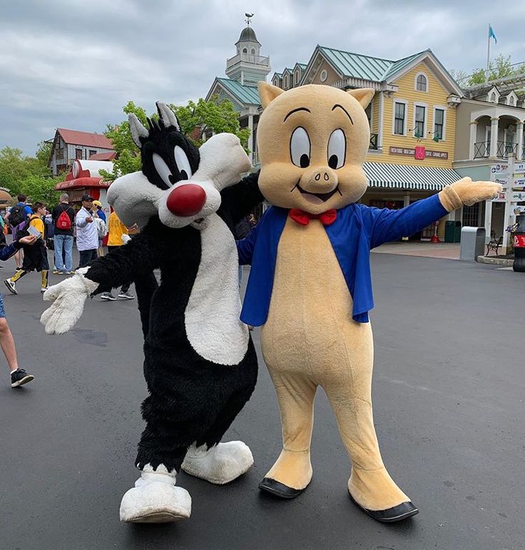 #Sylvester and #PorkyPig at #SixFlagsNewEngland today! #SixFlags # ...