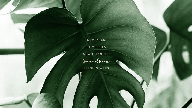 a green plant with the words new year, new feelings, new changes and fresh starts