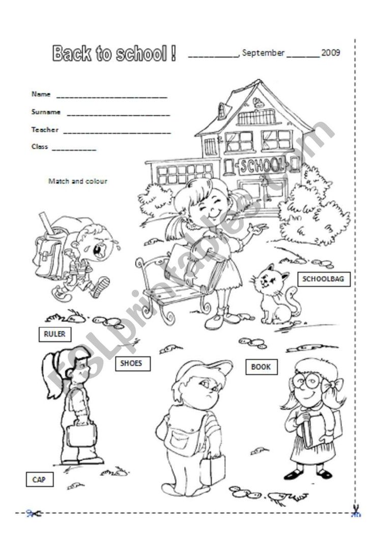 I used this worksheet with my 3rd grade pupils the first day of school ...