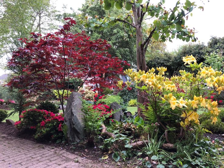 the garden is full of colorful flowers and trees