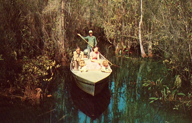 a group of people riding on the back of a boat in a swampy area