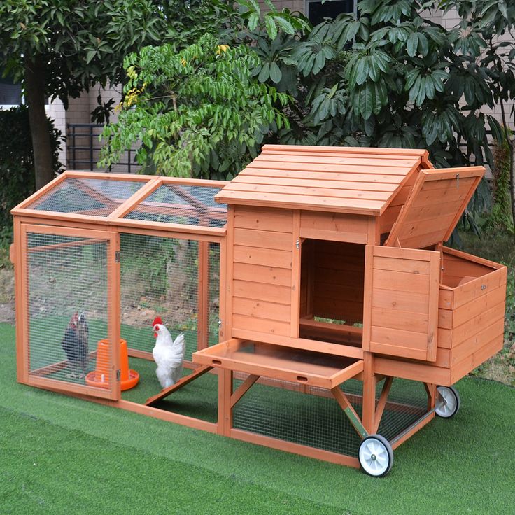 a wooden chicken coop with two chickens in it's back and one on the other side