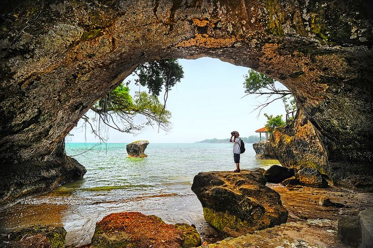 a person standing on rocks in the ocean looking out into the distance with trees and water