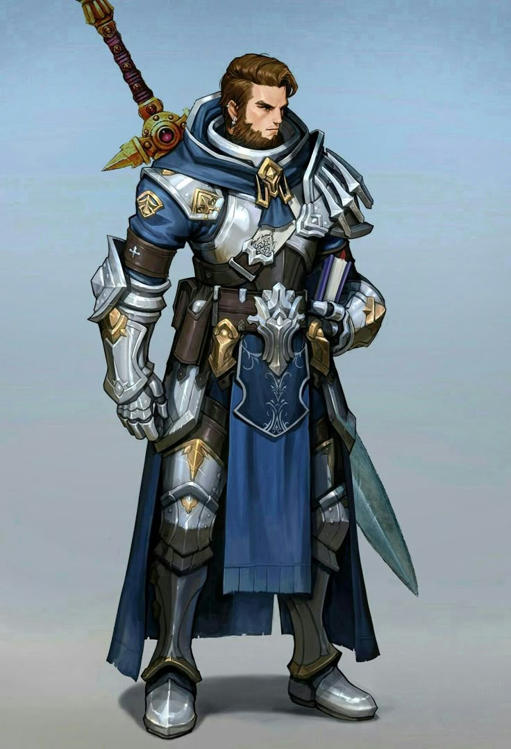 Cleric Paladin, Warrior Priest, Dnd Paladin, Heroic Fantasy, Male Character, Dungeons And Dragons Characters, Fantasy Male, Fantasy Armor, Armor Concept