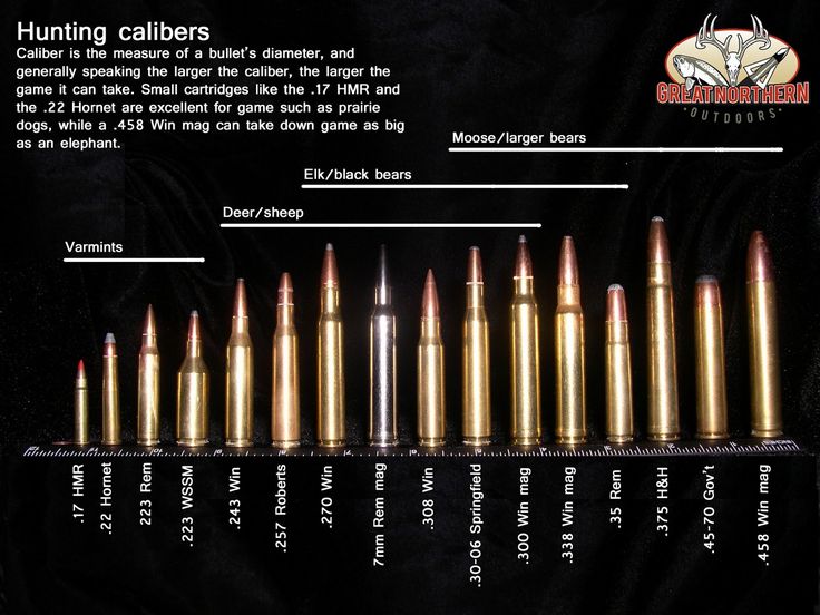 an info sheet describing the different types of hunting cartridges