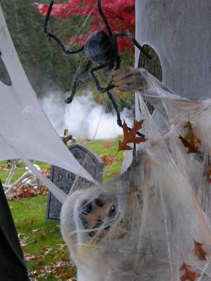 there is a spider hanging from the top of a tree with plastic bags on it