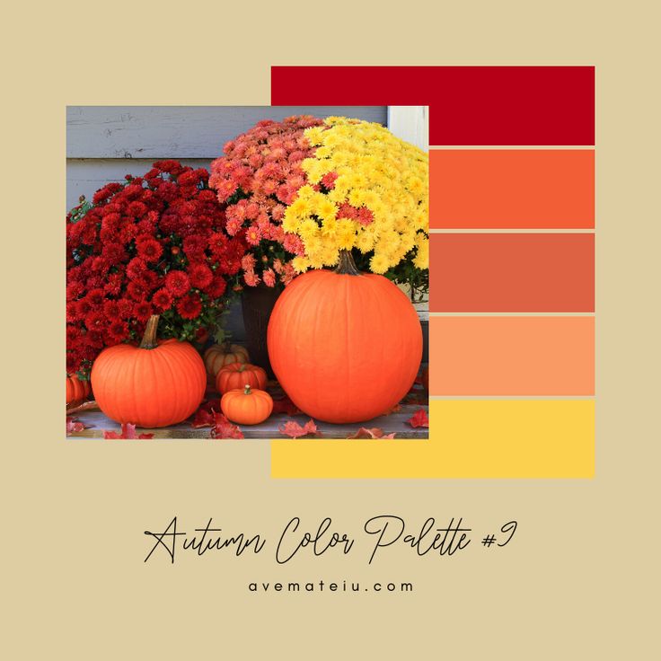 an autumn color palette with pumpkins and flowers