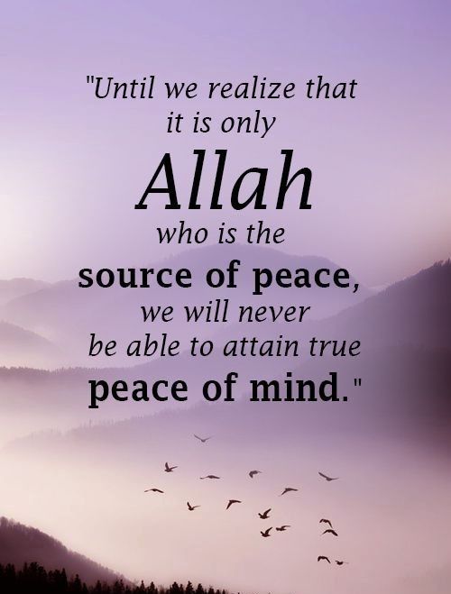 an image with the words, until we retalize that it is only person who is the source of peace, we will never be able to attain true peace of mind