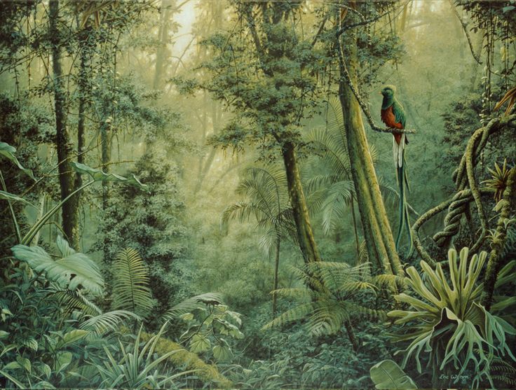 a painting of a tropical forest with birds and plants