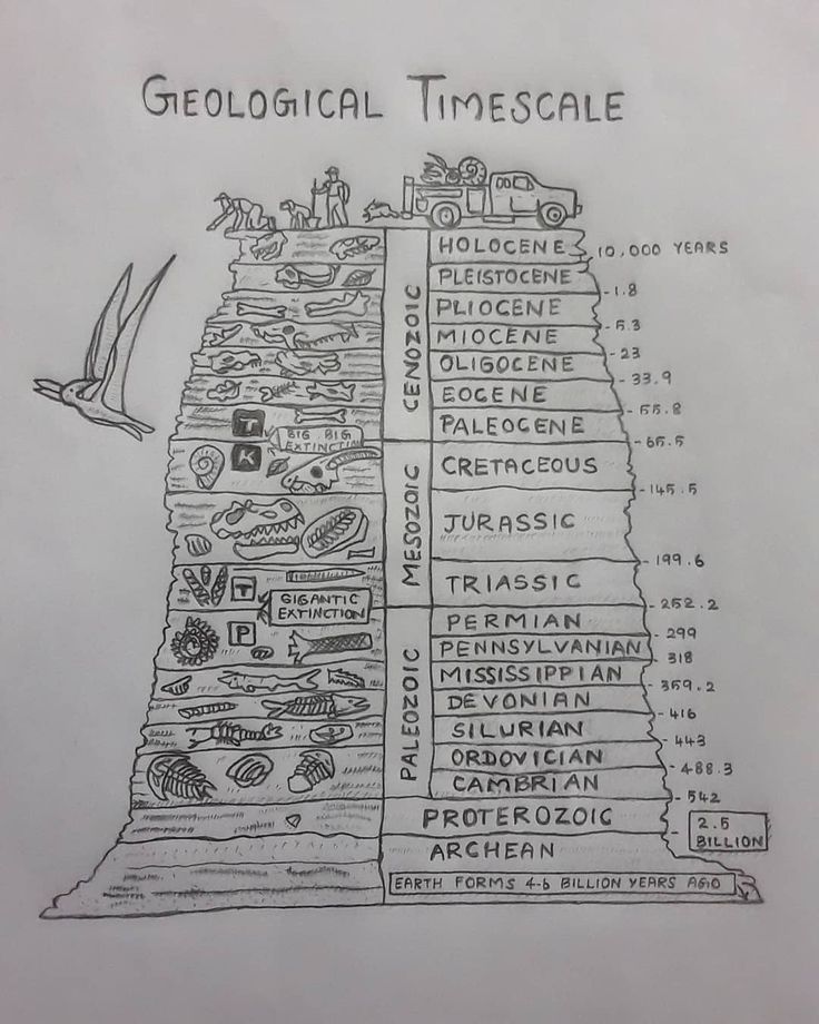 a hand drawn diagram of the geological timescale