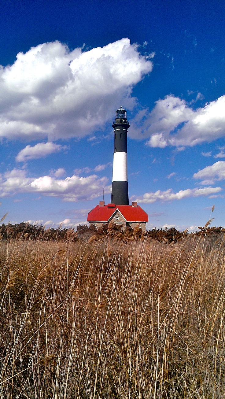 the lighthouse is surrounded by tall brown grass