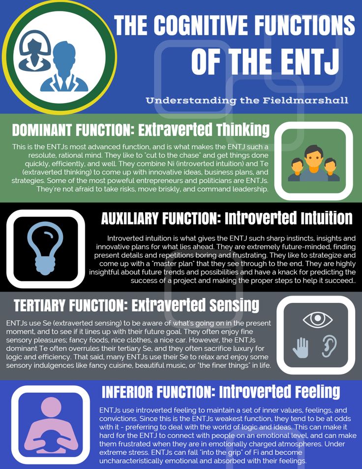 Hm. Now here, I'm starting to think I really am an ENTP, just with a lot of ENTJ characteristics. Character Psychology, Mbti Entj, Myer Briggs, Entj Personality, Cognitive Functions, Personality Profile, Career Search, Word Board, Myers Briggs Personality Types