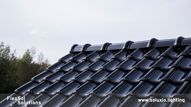 the roof of a building with black shingles and trees in the backgroud