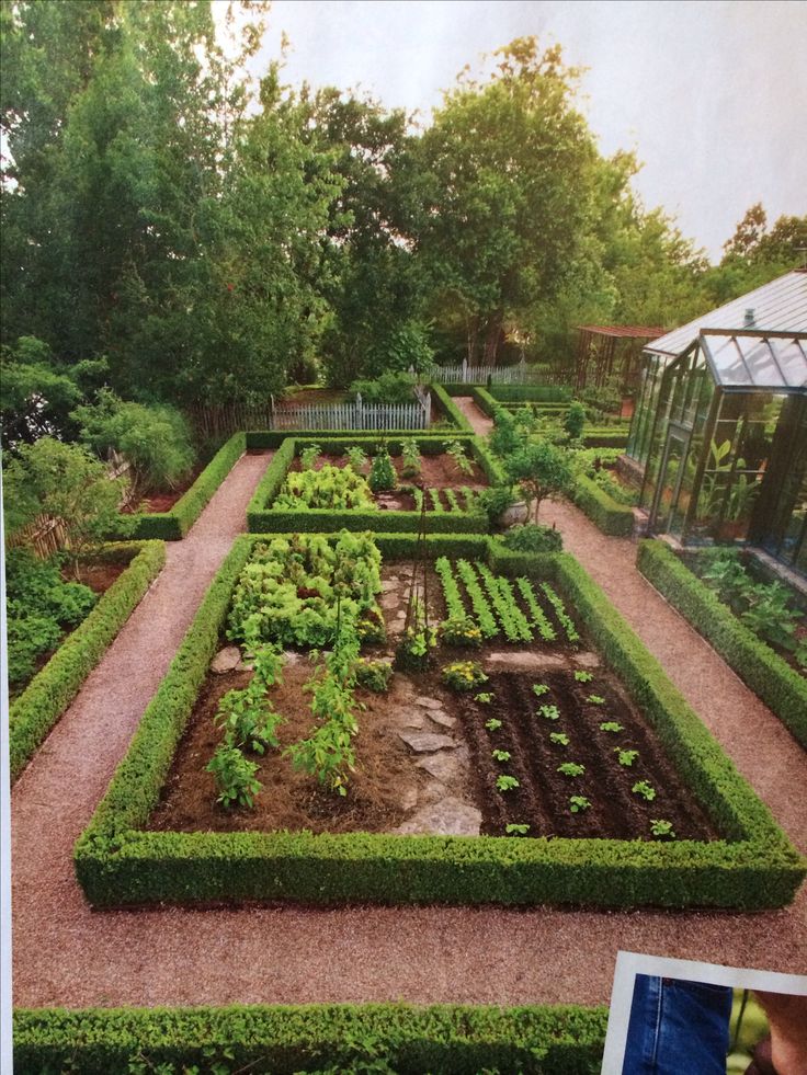 an open book showing a garden with various plants