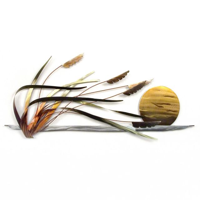 an assortment of feathers on a white background