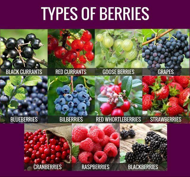 different types of berries are shown in this poster, with the names and pictures below