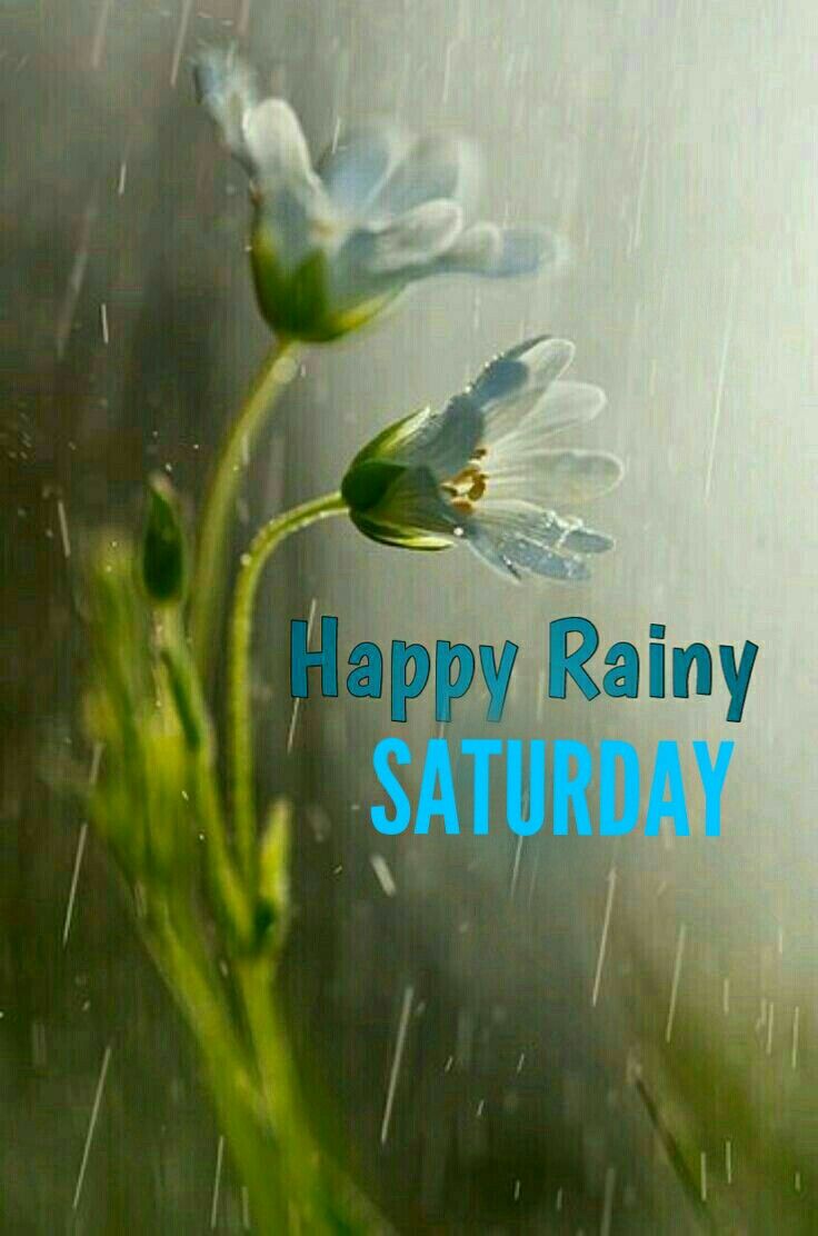 Pin by gopesh avasthi on DAYS OF WEEK | Good morning rainy day ...