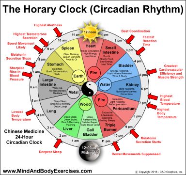 The Horary Clock (Circadian Rhythm) – 24 Hour Qi Flow Though the Meridians | Mind and Body Exercises - Blog Chinese Body Clock Chart, Chinese Medicine Clock, Body Clock Chart, Tcm Clock, Meridians Energy Charts, Chinese Body Clock, Organ Clock, Circadian Clock, Qi Energy