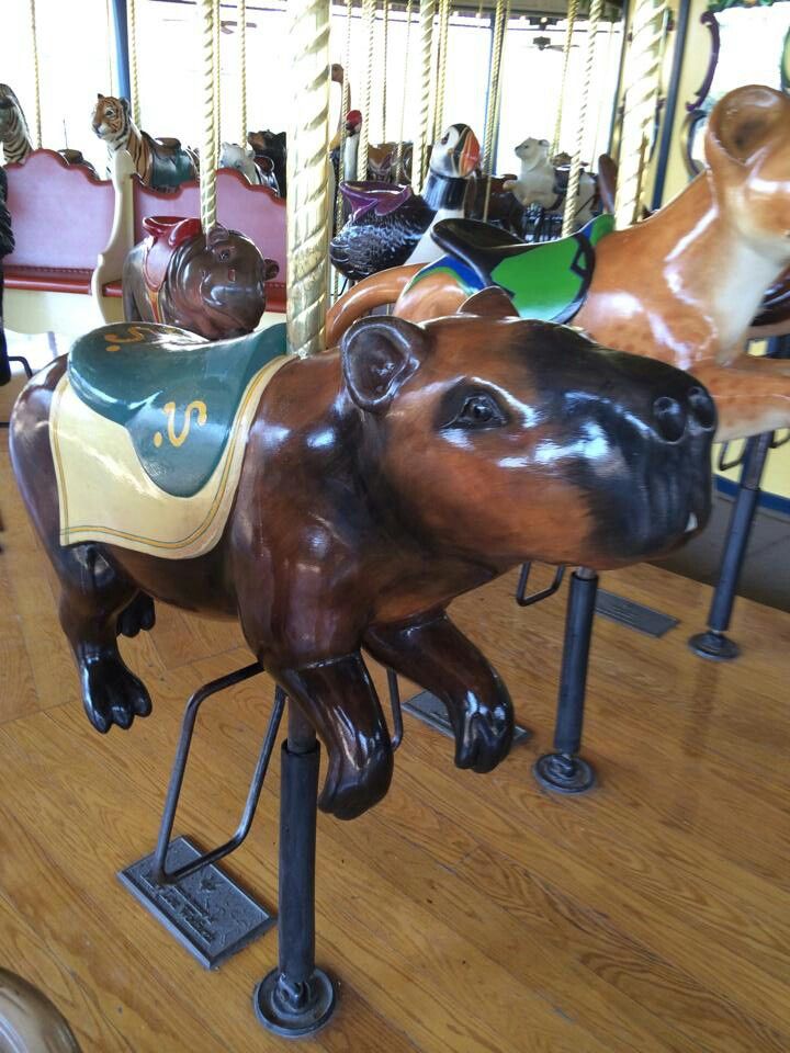 the carousel has many different colored horses on it