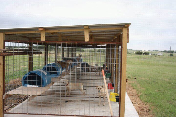 a caged in area with several animals inside